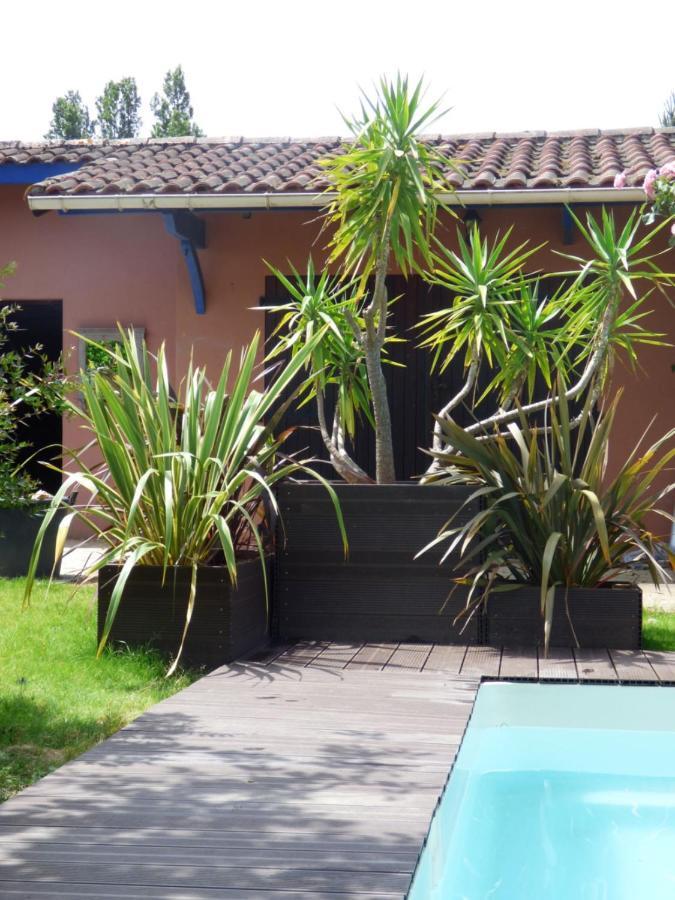 Bed and Breakfast Arche De Lanoe Jacuzzi Labastide-Saint-Pierre Exterior foto